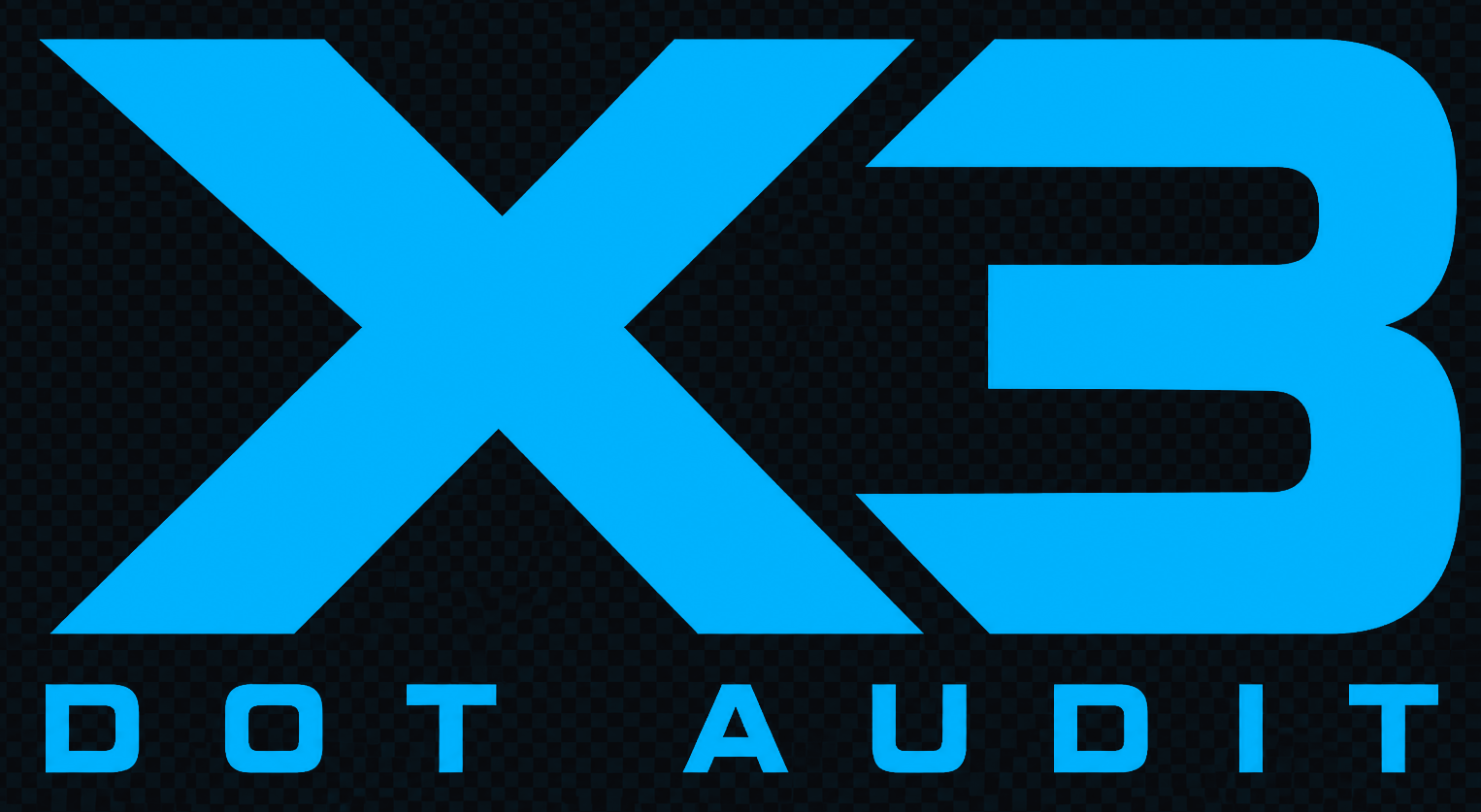 X3 DOT Audit