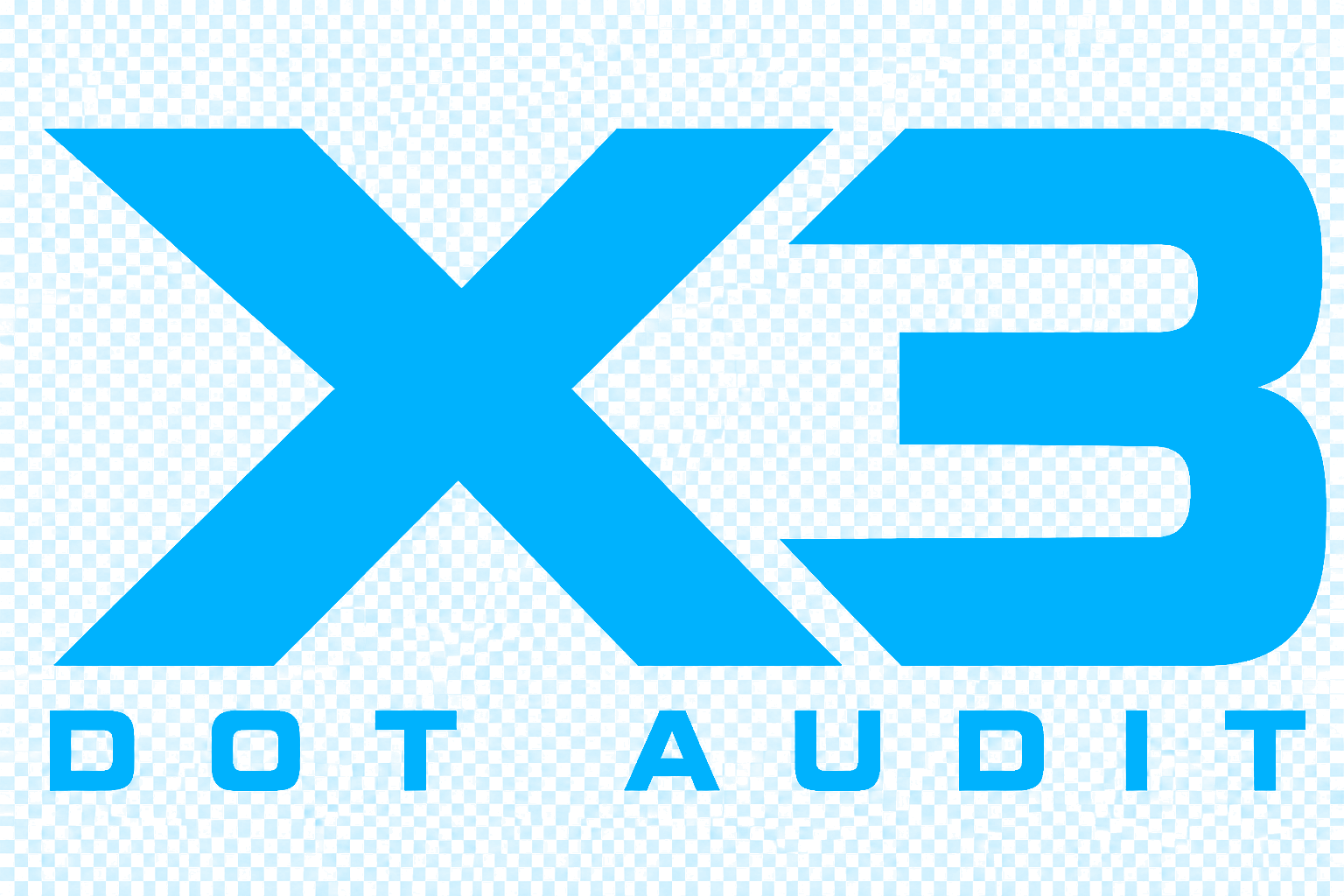 X3 DOT Audit